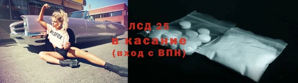 прущие грибы Алексеевка
