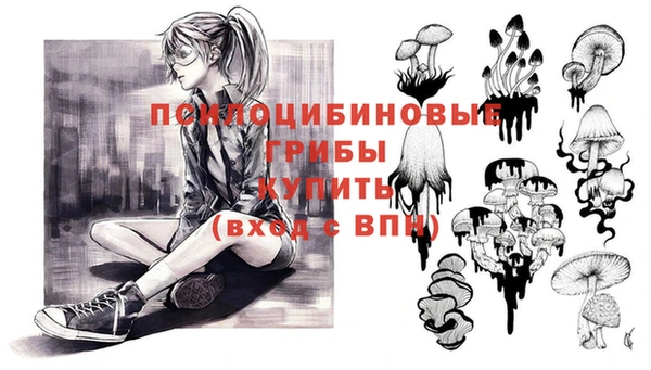 эйфоретик Осташков