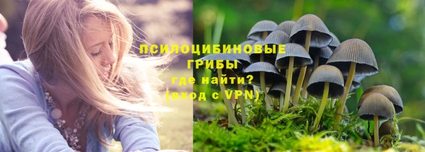 эйфоретик Осташков