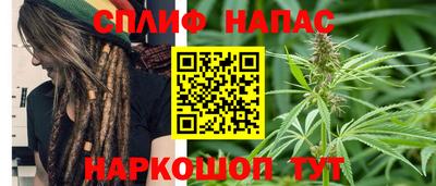 прущие грибы Донецк