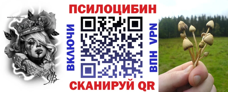 Псилоцибиновые грибы Psilocybe  как найти закладки  гидра зеркало  Полысаево 