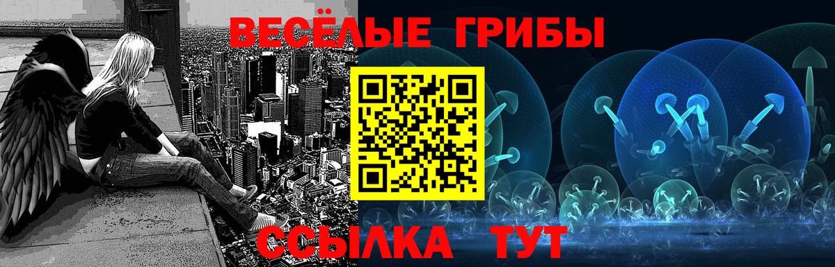 Псилоцибиновые грибы прущие грибы  Вход с VPN  Полысаево 