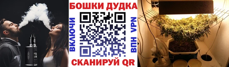 blacksprut рабочий сайт  Полысаево  Канабис план 